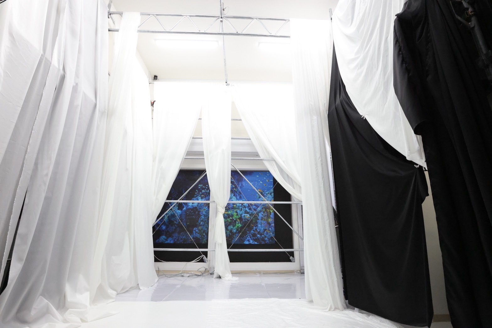 【武蔵小杉】自然光◎ 撮影スタジオ｜動画・SNS・商品撮影｜スタジオグリーンハウ